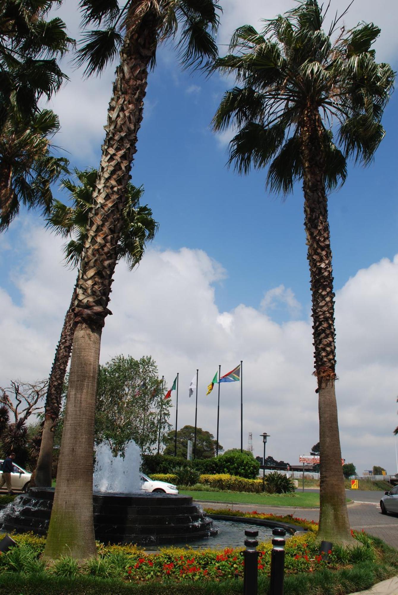 Southern Sun Or Tambo International Airport Kempton Park Bagian luar foto